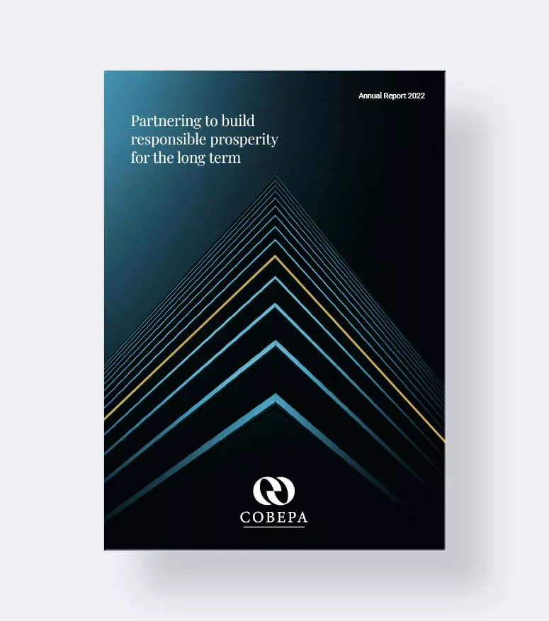 Cobepa Activity Reporting Cover